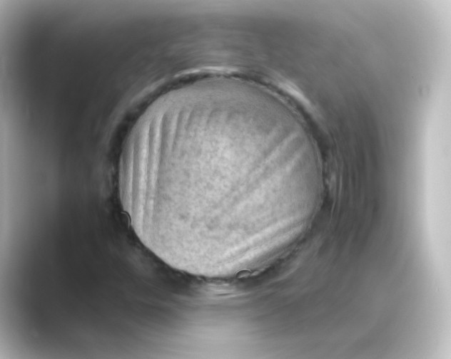 X0000088741448200706212048