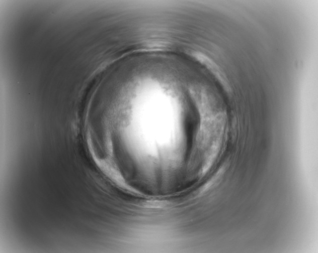 X0000088741449200706212048