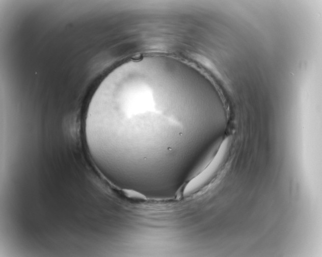 X0000088741450200706212048