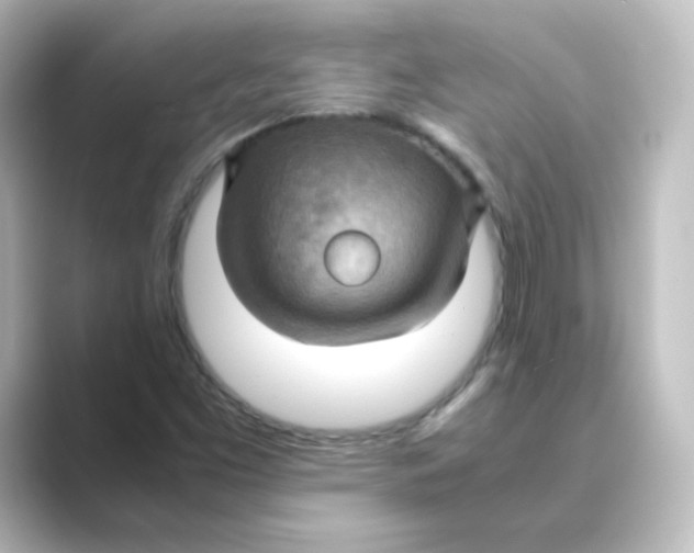 X0000088741453200706212048