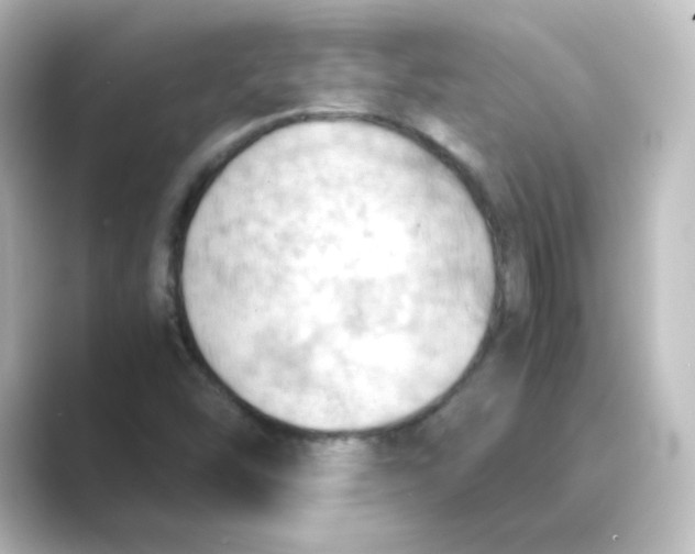 X0000088741454200706212048