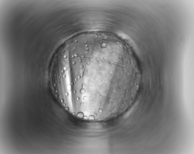 X0000088741457200706212048