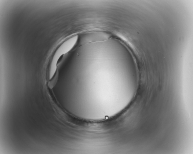 X0000088741459200706212048