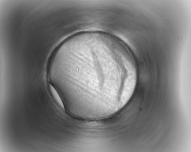 X0000088741460200706212048