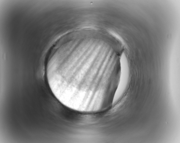 X0000088741461200706212048