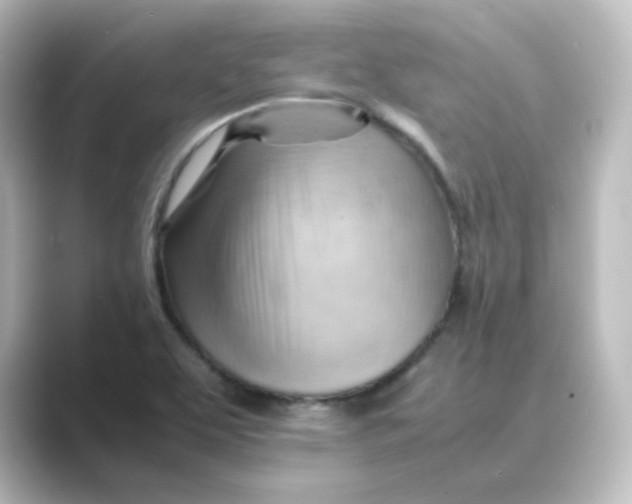 X0000088741463200706212048