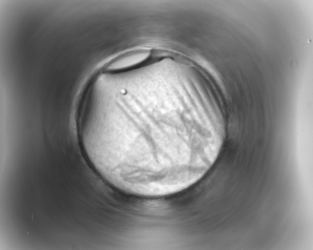 X0000088741464200706212048