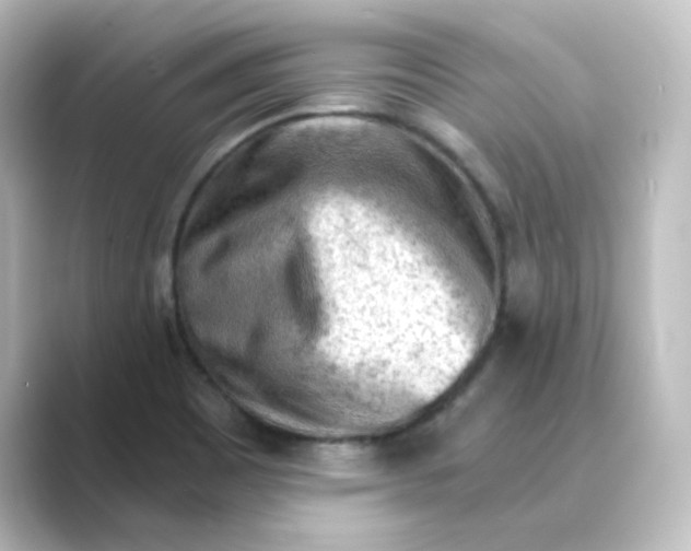 X0000088741465200706212048