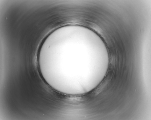 X0000088741466200706212048