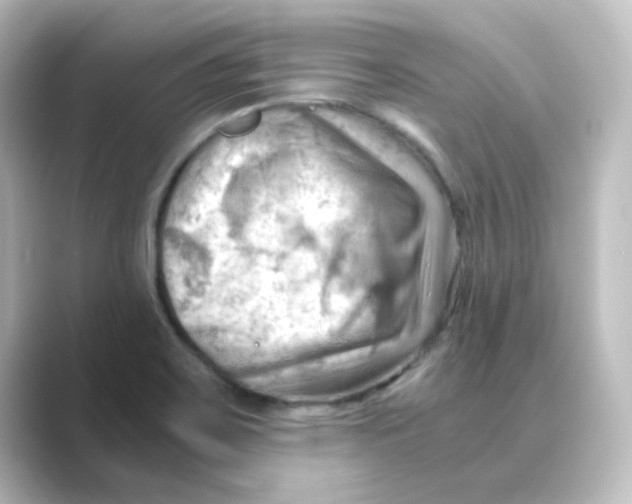 X0000088741467200706212048