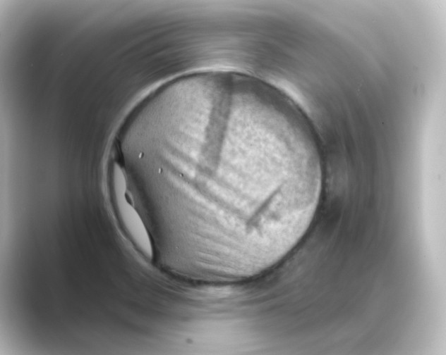 X0000088741468200706212048