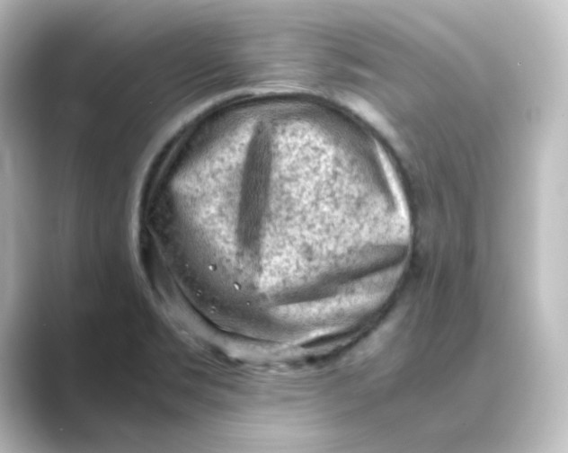 X0000088741469200706212048