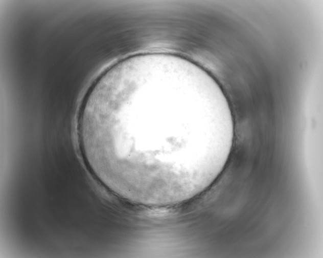 X0000088741470200706212048