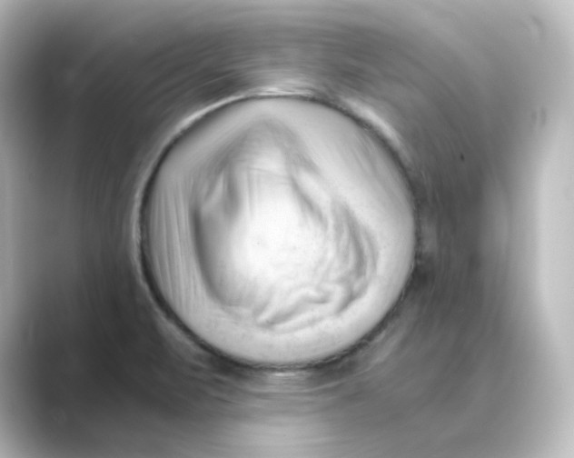 X0000088741471200706212048