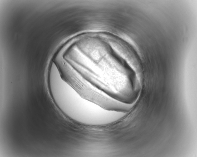 X0000088741472200706212048