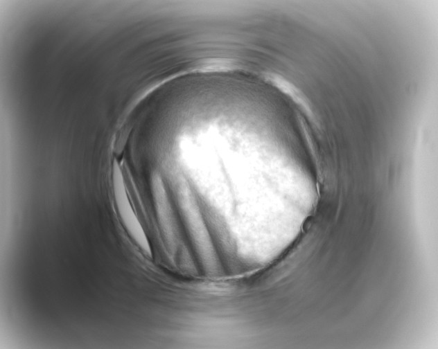 X0000088741473200706212048