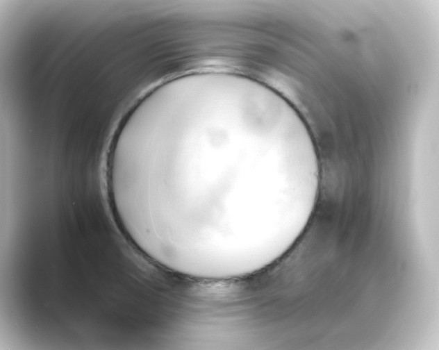 X0000088741474200706212048