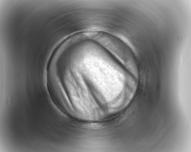 X0000088741476200706212048