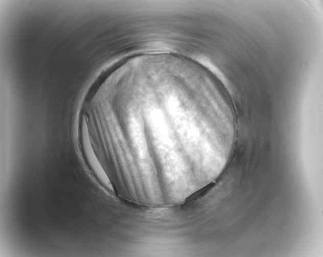 X0000088741477200706212048