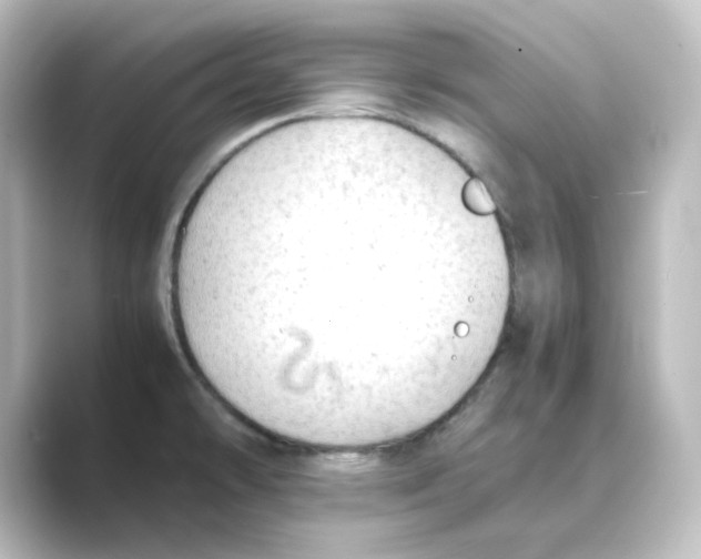 X0000088741478200706212048