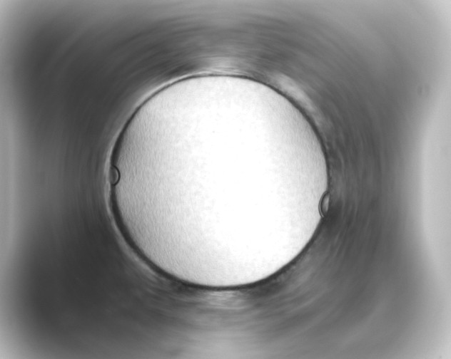 X0000088741479200706212048