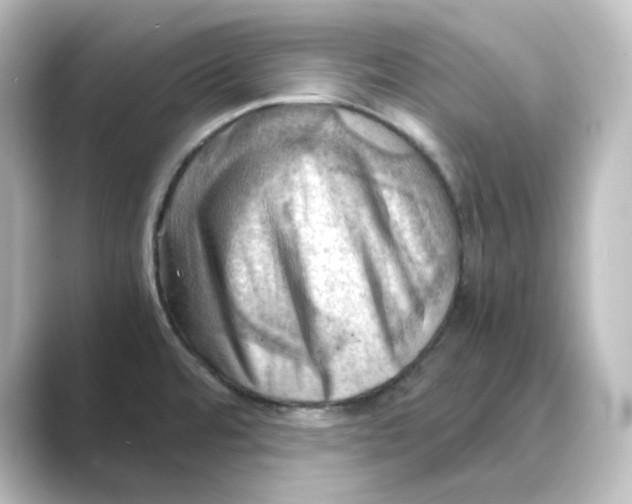 X0000088741480200706212048