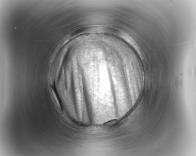 X0000088741481200706212048