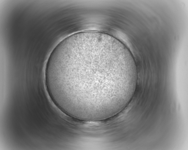 X0000088741483200706212048