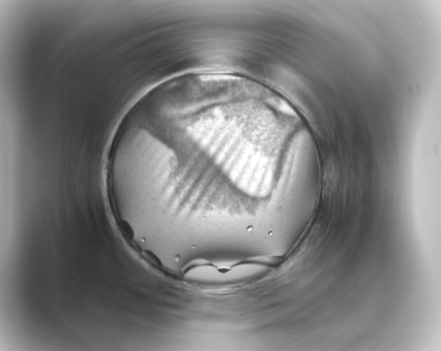 X0000088741484200706212048