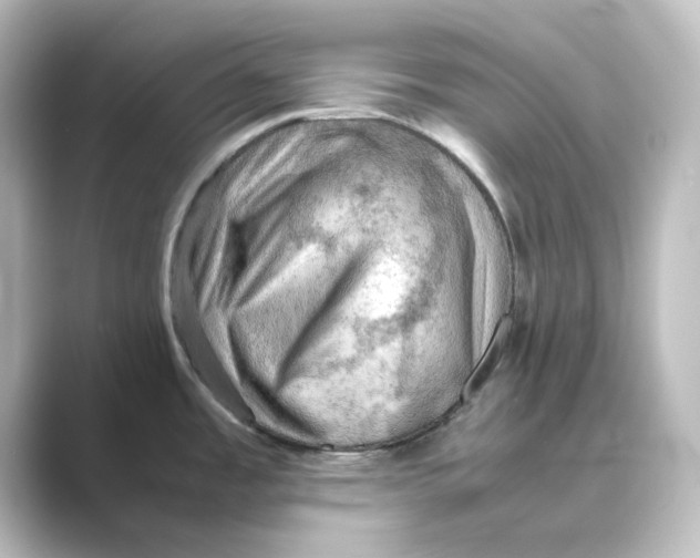 X0000088741485200706212048