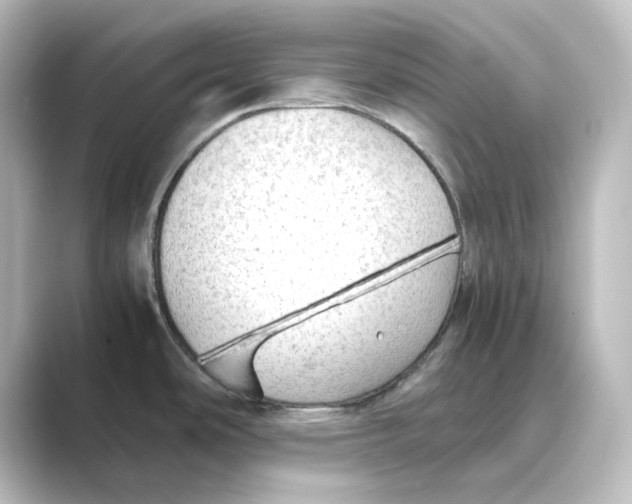 X0000088741486200706212048