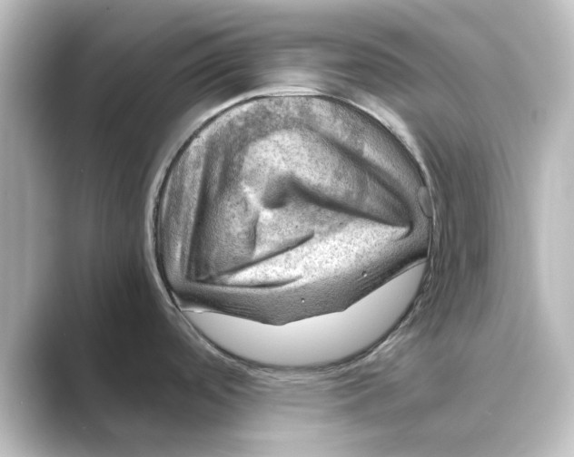 X0000088741488200706212048