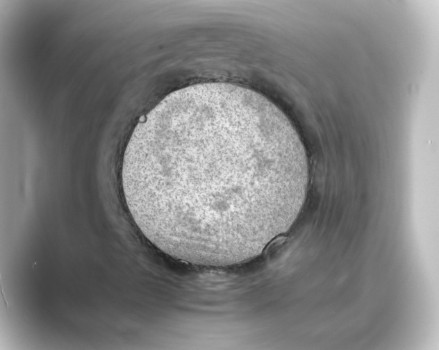 X0000088741489200706212047