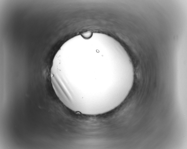 X0000088741495200706212047