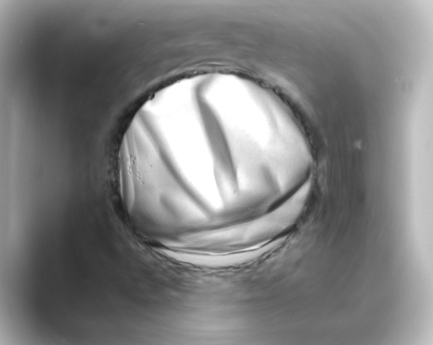 X0000088741496200706212047