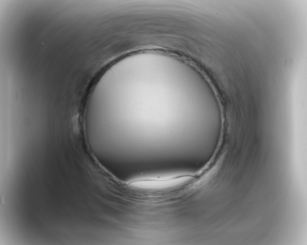 X0000088741497200706212047