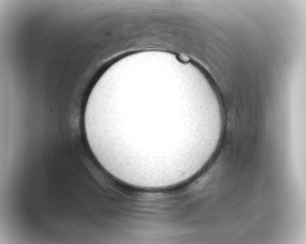 X0000088741499200706212047