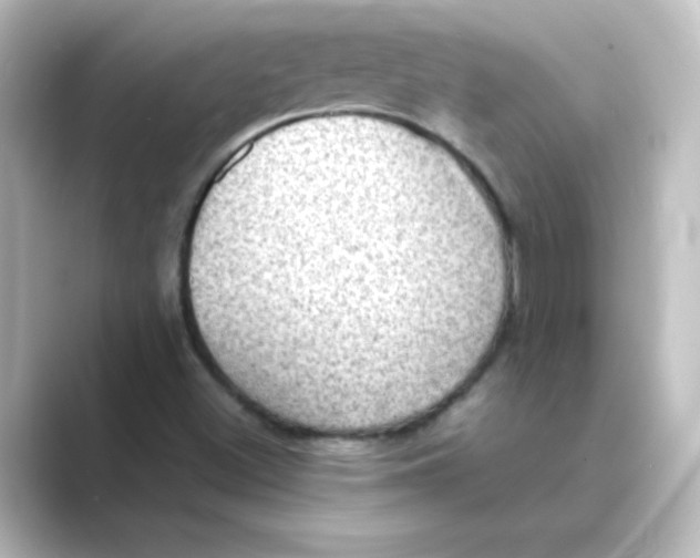 X0000088741500200706212047