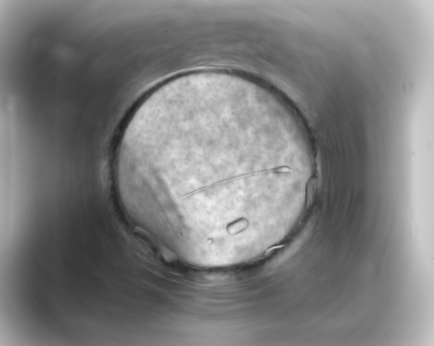 X0000088741501200706212047