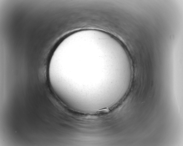 X0000088741503200706212047