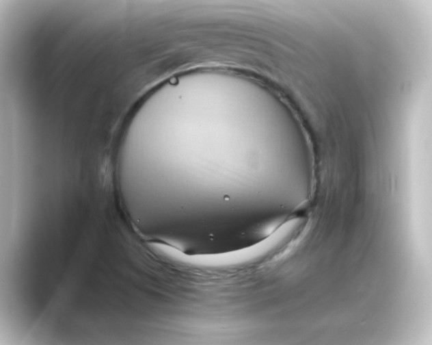 X0000088741505200706212047