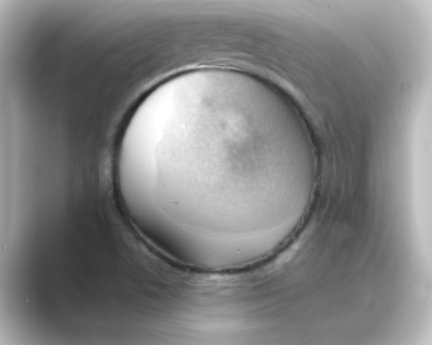 X0000088741506200706212047