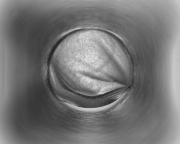 X0000088741507200706212047