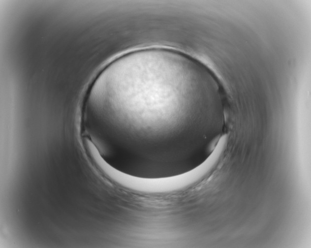 X0000088741508200706212047