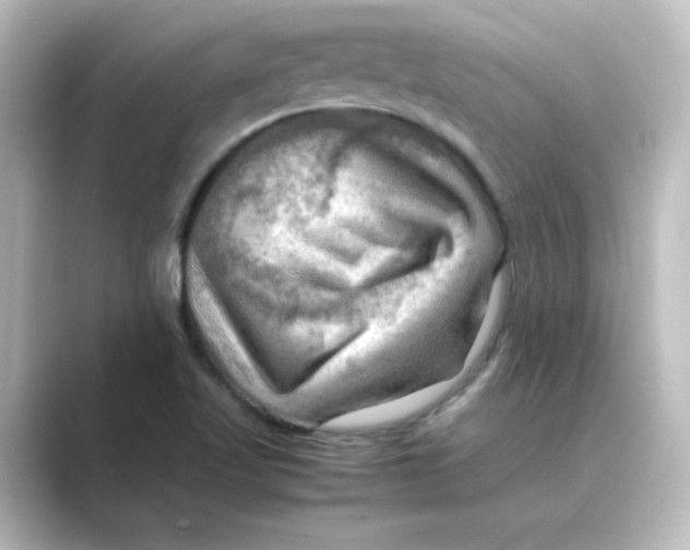 X0000088741509200706212047