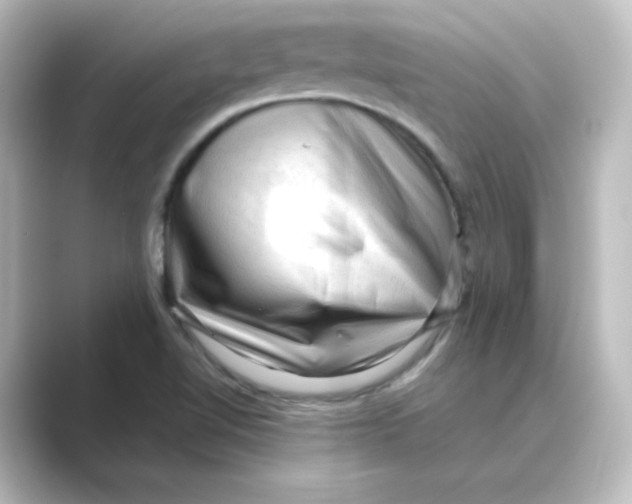 X0000088741510200706212047