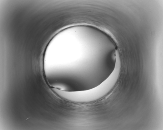 X0000088741516200706212047