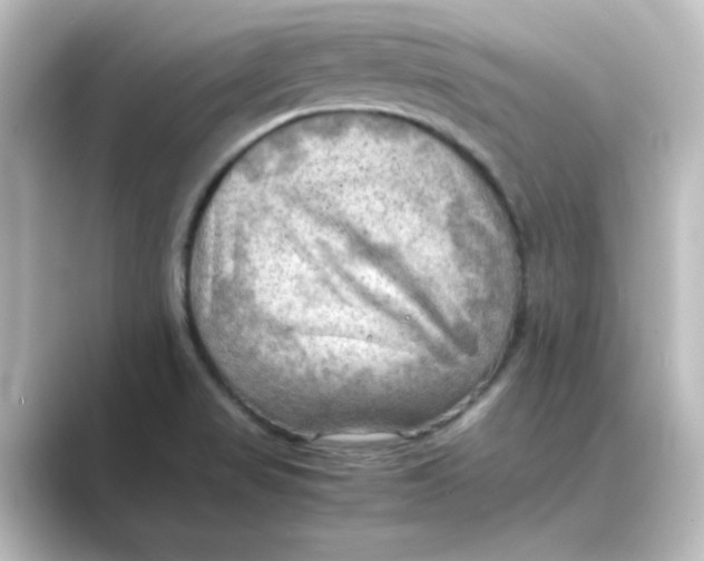 X0000088741517200706212047