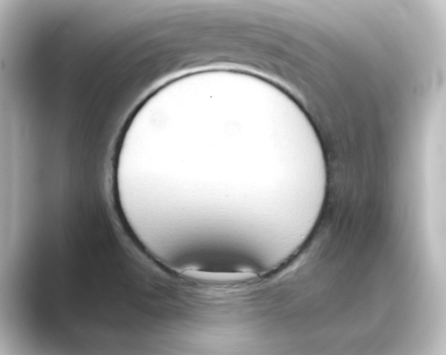 X0000088741518200706212047