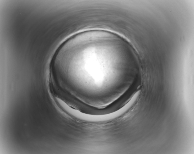 X0000088741519200706212047